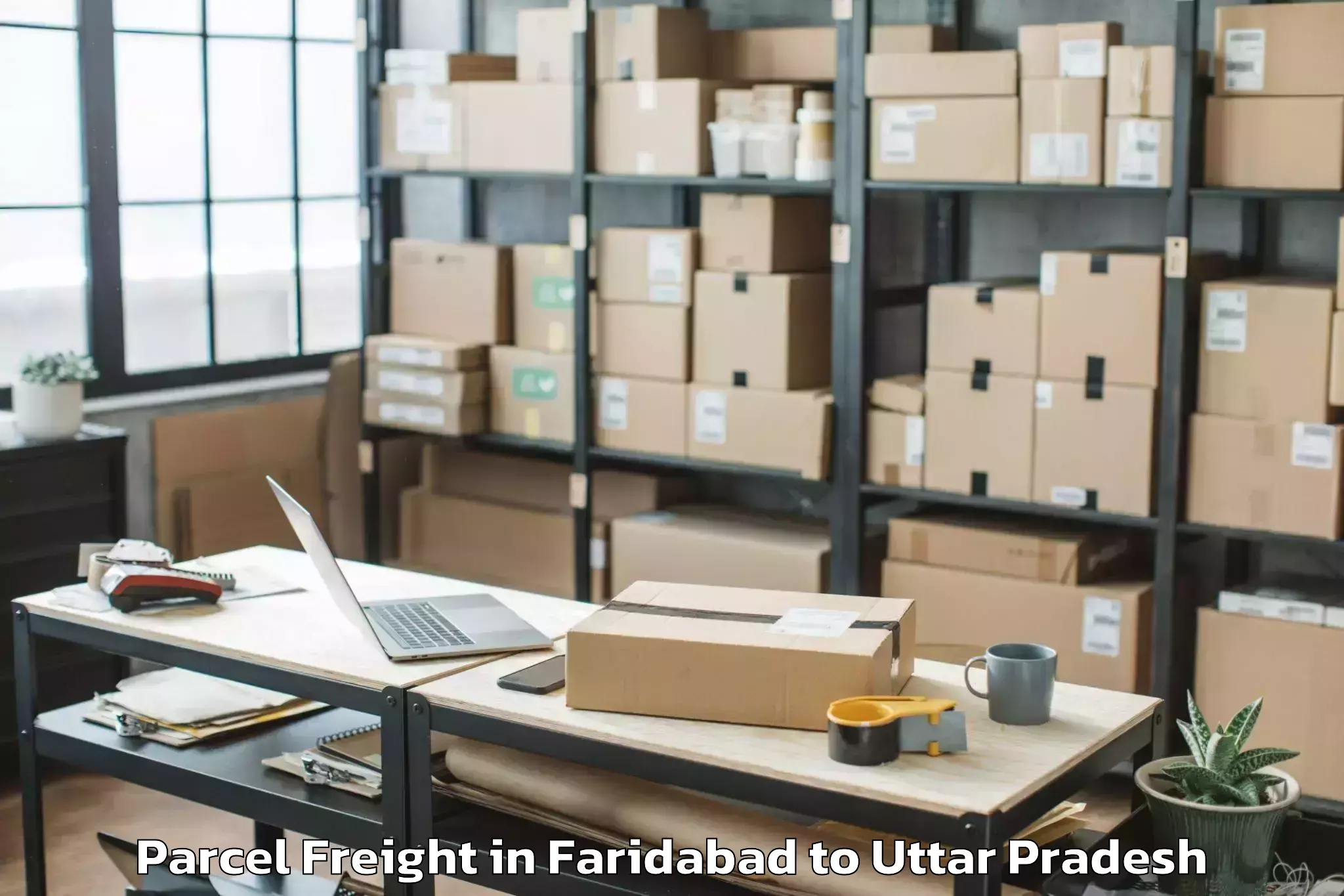 Affordable Faridabad to Etawa Parcel Freight